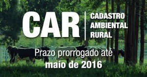 car carlupe (2)