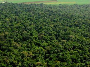 estrada-colono_05_2_606x455