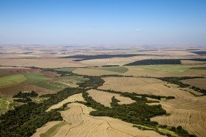 img_2518