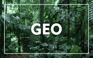 BANNER GEO