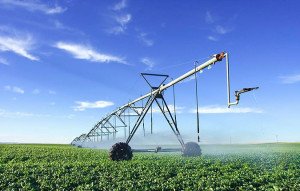 08fb9c11a76729c82a296139c118bc8c