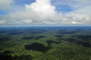 O cadastro vai servir como um banco de dados para controle, monitoramento, planejamento ambiental e econômico e combate ao desmatamento