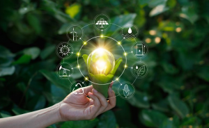 BUREAU-VERDE-CARLUPE-SERASA-EXPIRIAN